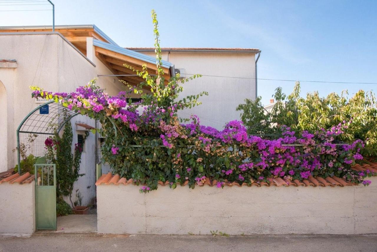 Apartments Anita Summer Vodice Exterior foto